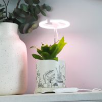 SunBlaster Halo 360 LED Plant Light, w/ USB Adaptor and Timer