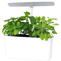 SunBlaster Nano Growlight Garden, w/ LED Grow Light, Timer and Adapter