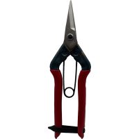Chikamasa B500S Pruning Scissors, SS/35 mm