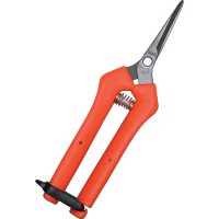 Chikamasa TP-500SF Spring-loaded Straight Blade Stainless Steel Pruners with Fluorine Coating